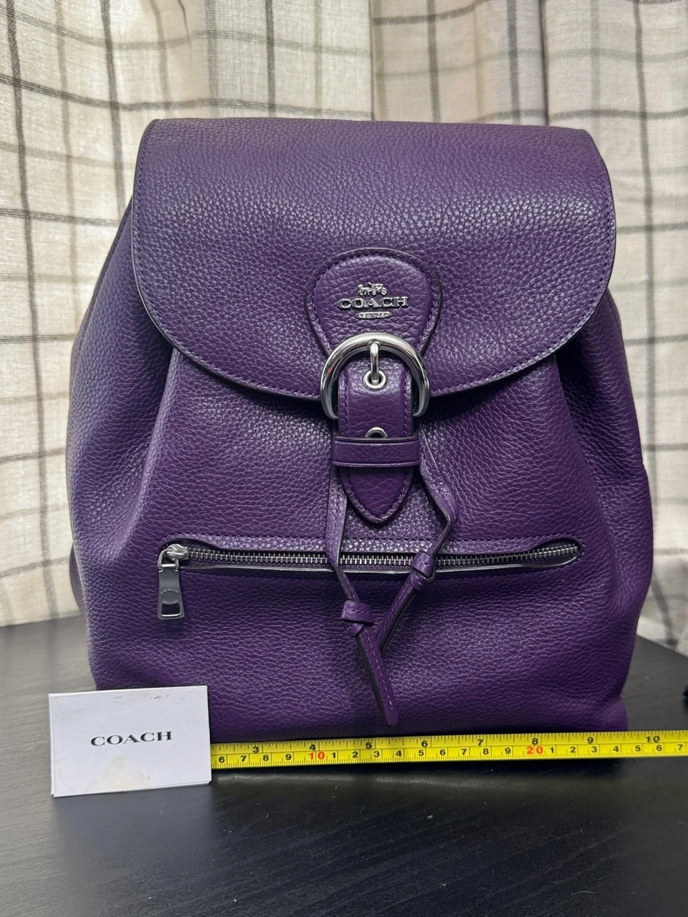 Coach Kleo Pebble Leather Mini Backpack Purple
